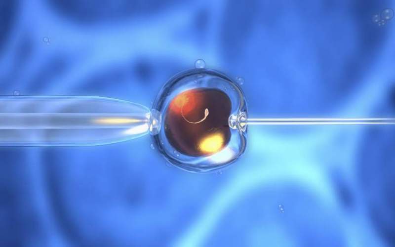 Mild Ivf